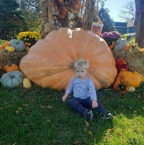 Meet your Posher, Sandy